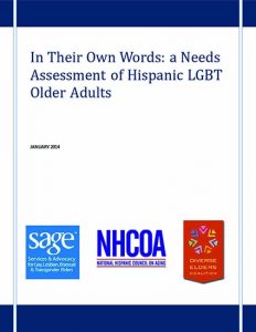 In Their Own Words: a Needs Assessment of Hispanic LGBTQ+ Older Ad