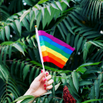 flag-held-in-from-of-leaves